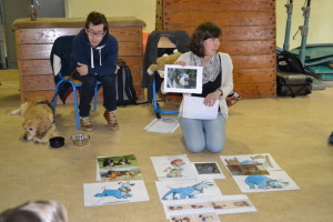 Atelier Canin - Molenbeek